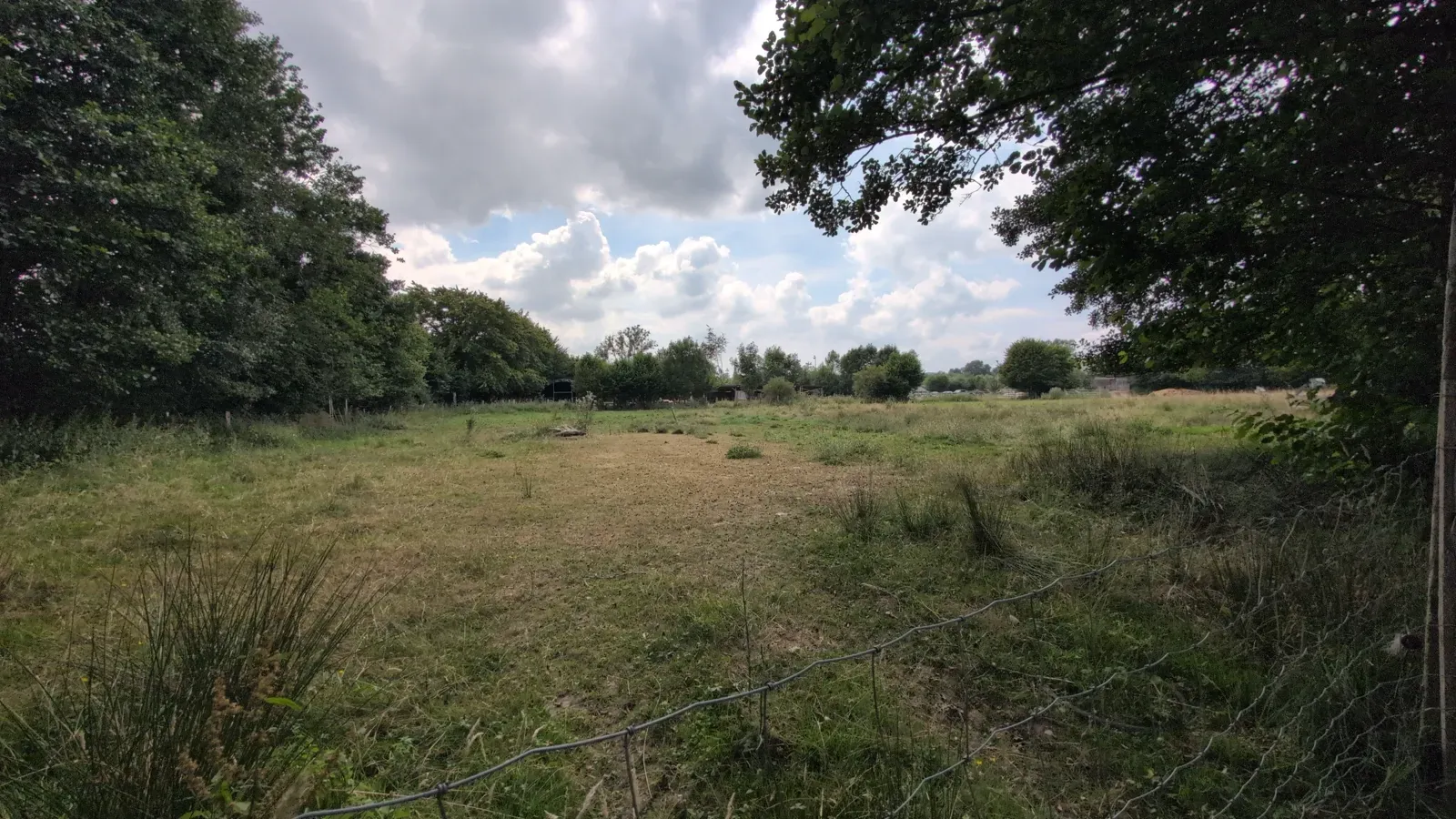 De Ferme de la Planche in Gouvy: een gezinswandeling om terug verbinding te maken met de natuur, blootsvoets