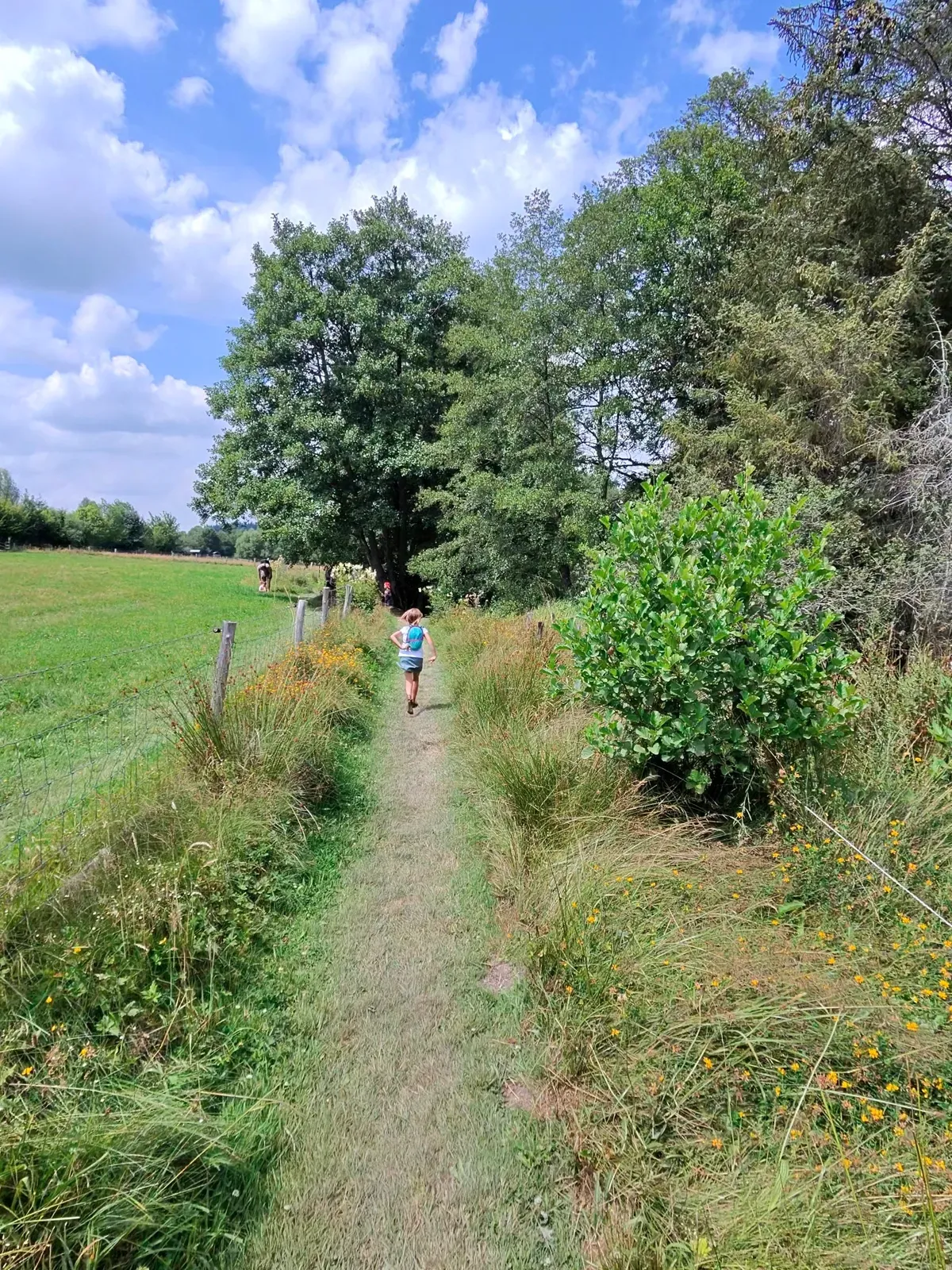 Pad door de weide van de Ferme de la Planche